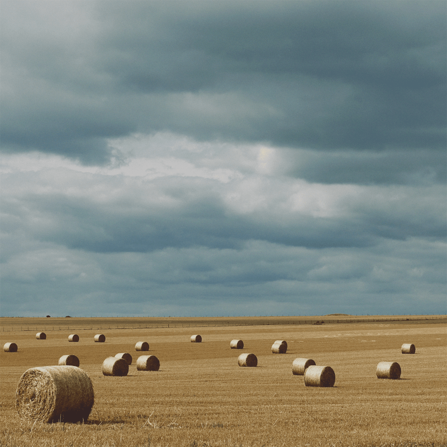 AGRIFILM SCRAPS