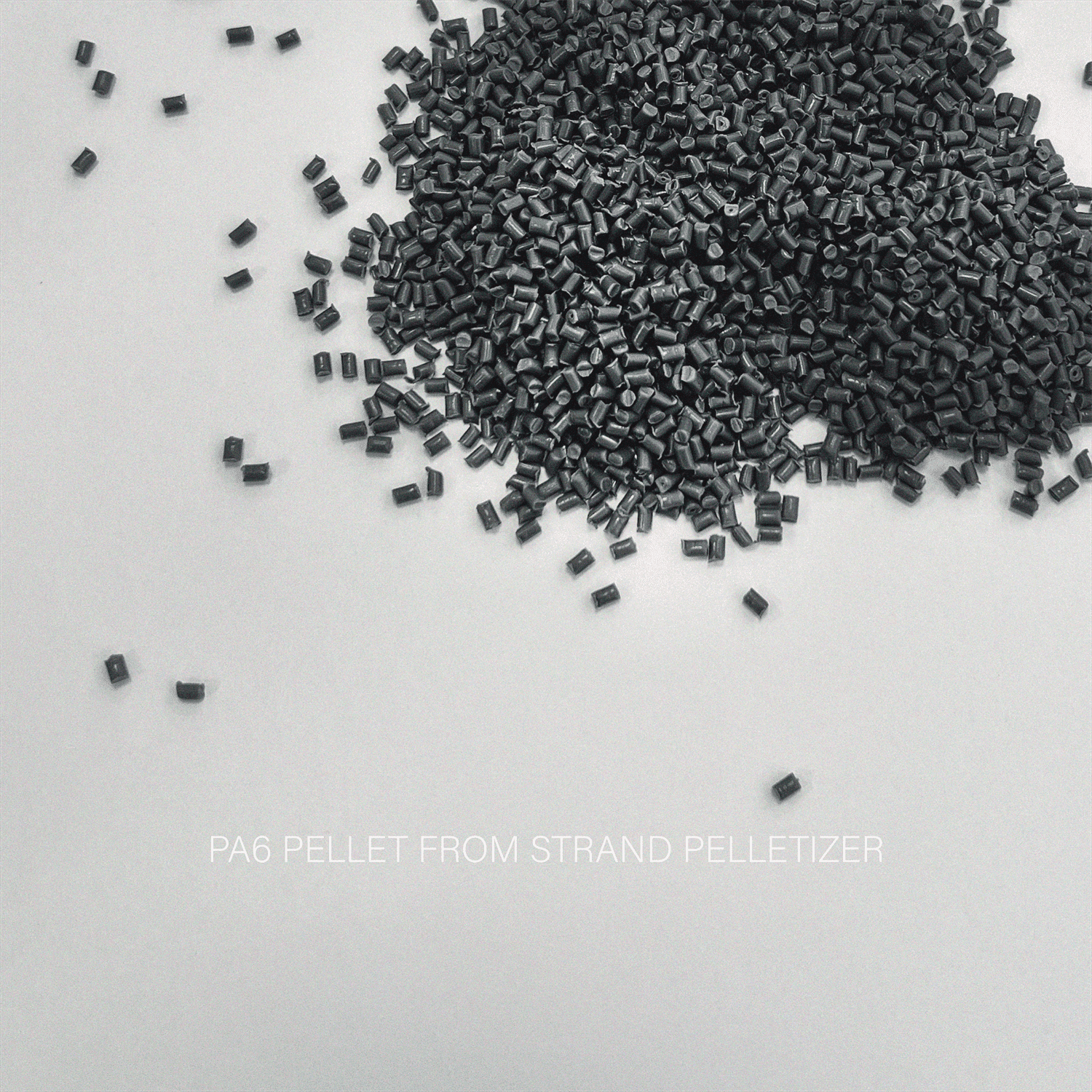 PA6 PELLET FROM STRAND PELLETIZER
