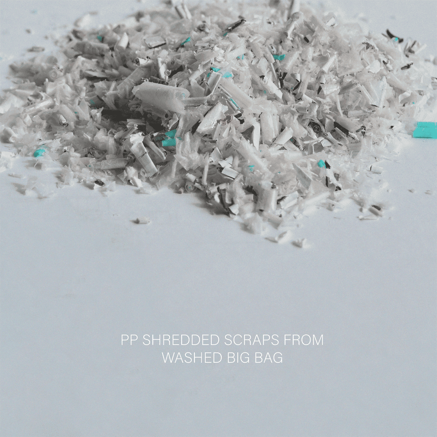 PP SHREDDED SCRAPS FROM WASHED BIG BAG